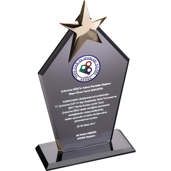 KPL-7709 Kristal Plaket [ Füme ] [ 12 x 21 cm ]