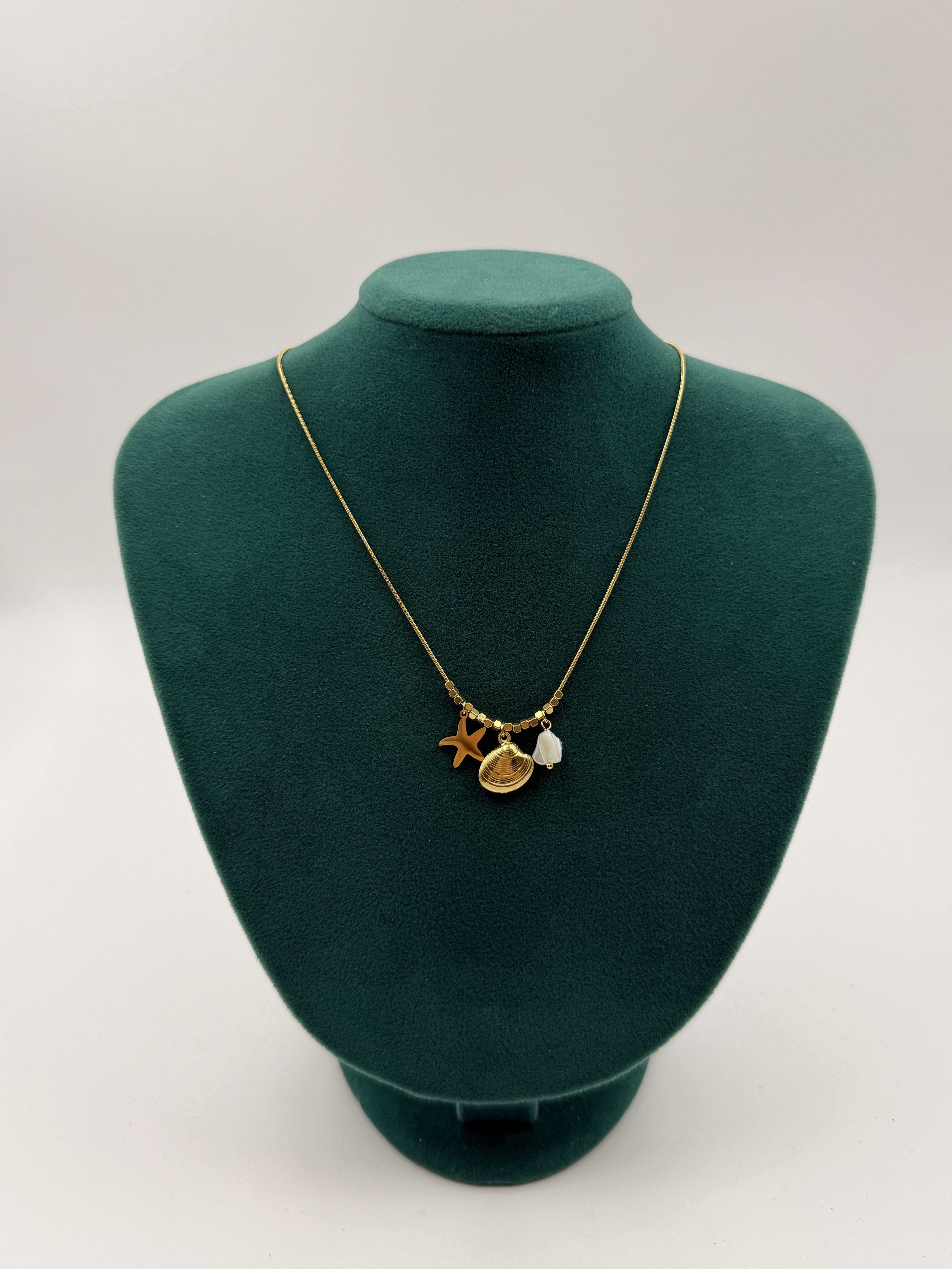 Deniz Kabuğu Charm Kolye