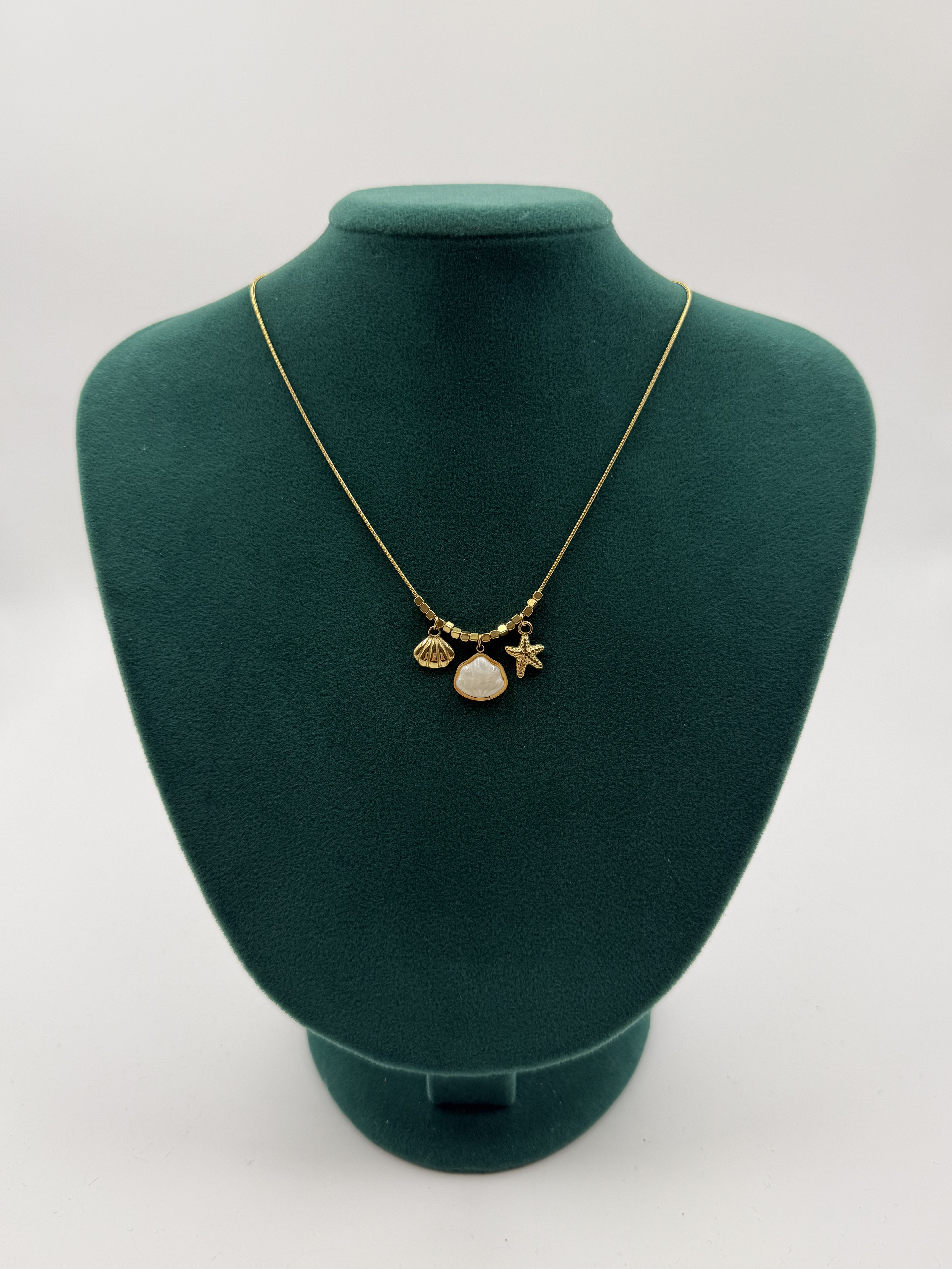 Deniz Kabuk Charmlı Kolye